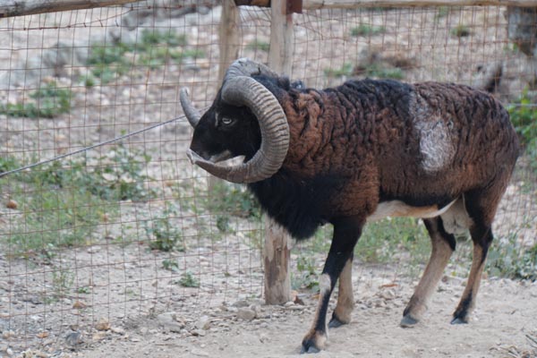 055-18-10-06-_LeS_DSC03578-Paris-Paris